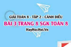 Bài 3 trang 8 Toán 8 Tập 2 Cánh Diều